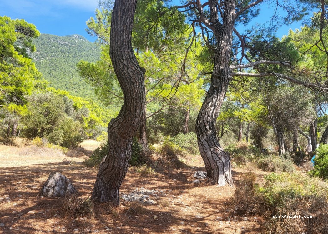(48100) Menteşe - — foto 2