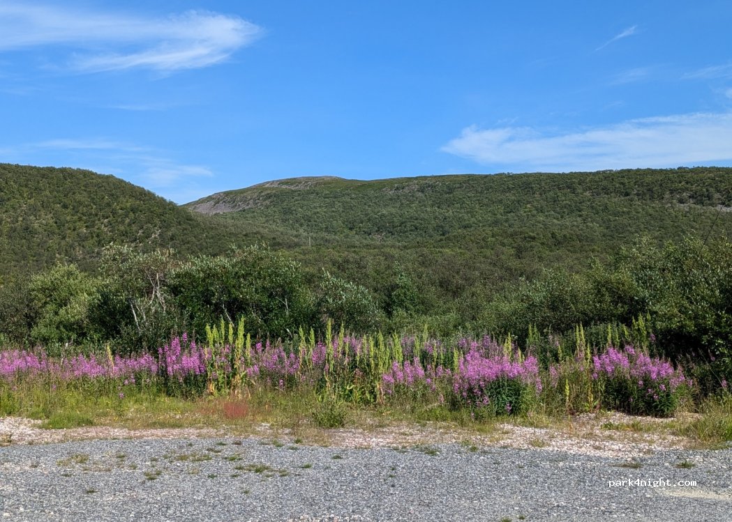 (9841) Smalfjord - — foto 3