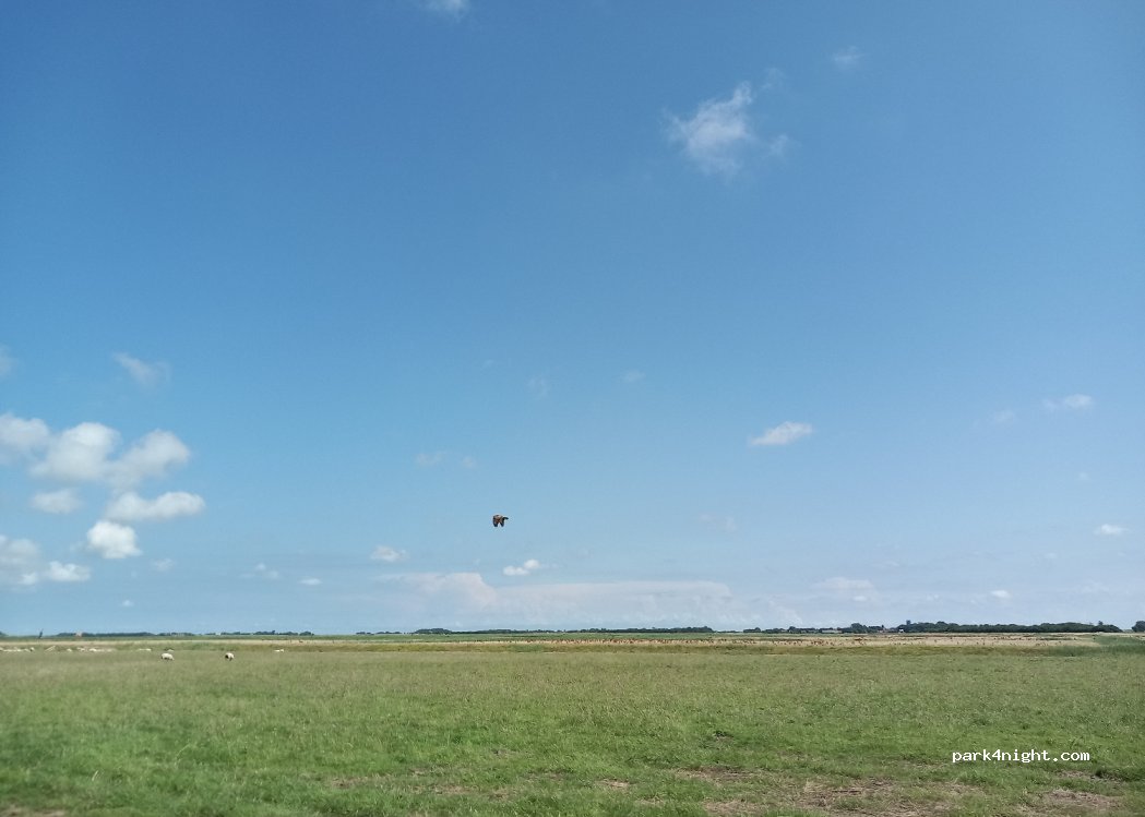 Camperplaats Texel - Natuurgebied Waal en Burg — foto 2