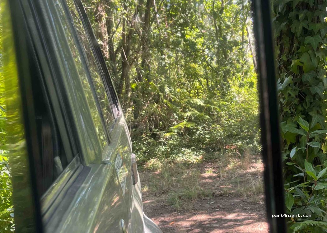 (3800) Cacia - 10 Largo de São Simão — foto 3