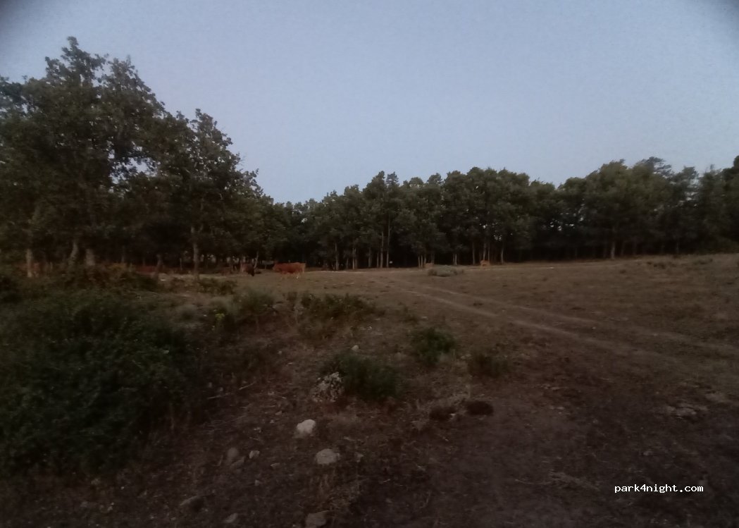 (10893) Villamiel - — foto 2
