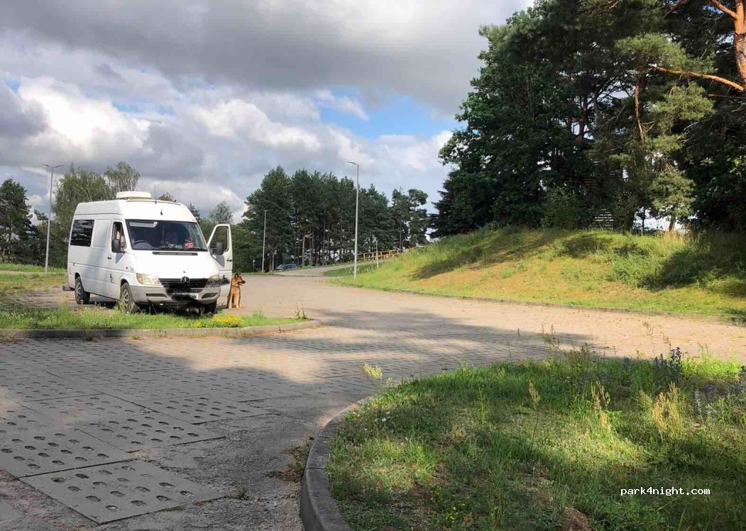 (11-700) Miejski Las - Unnamed Road — foto 2