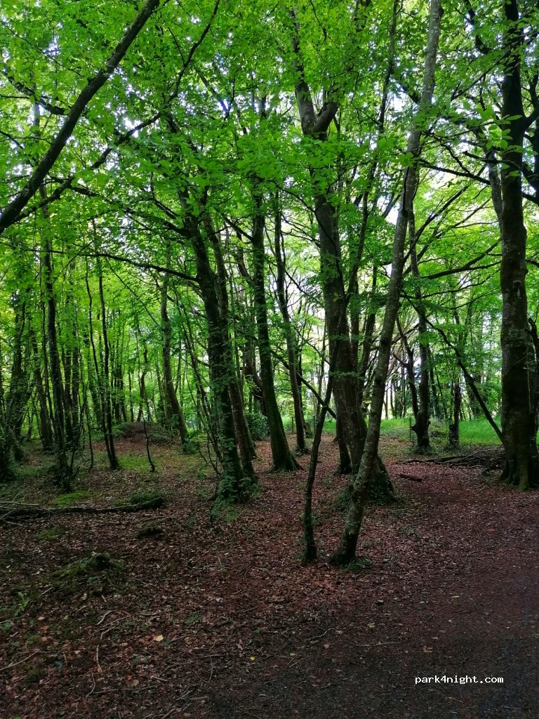 Lough Ennell Caravan and Camping Park — foto 3
