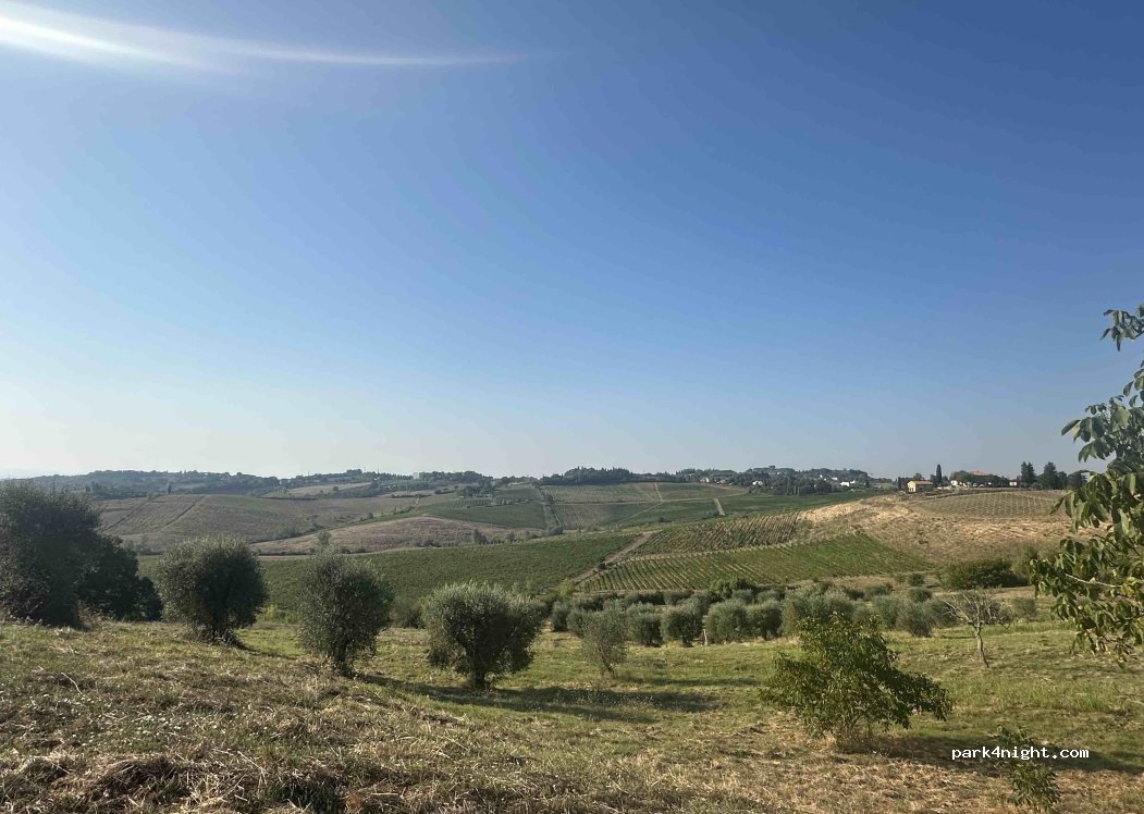 (53019) Castelnuovo Berardenga - 25 Strada di Casello Ripa — foto 5