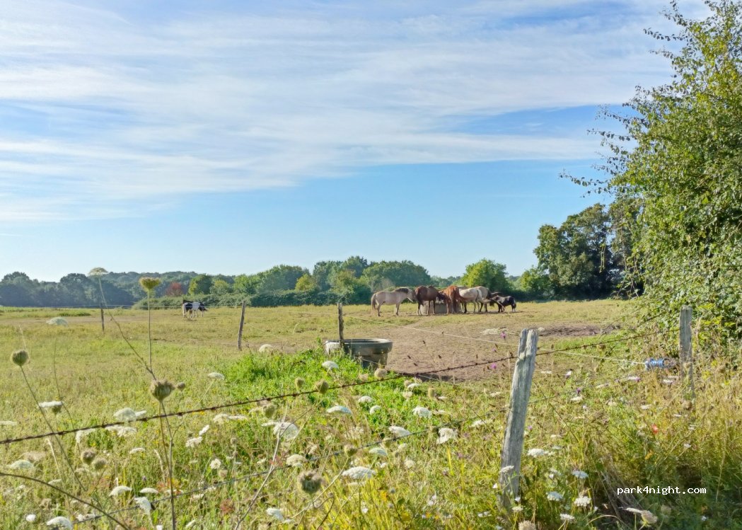 (49640) Morannes sur Sarthe-Daumeray - La Tesnière — foto 2