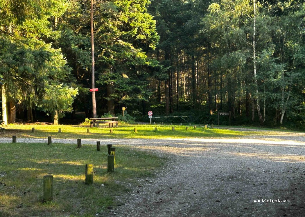 () Illeville-sur-Montfort - Unnamed Road — foto 4