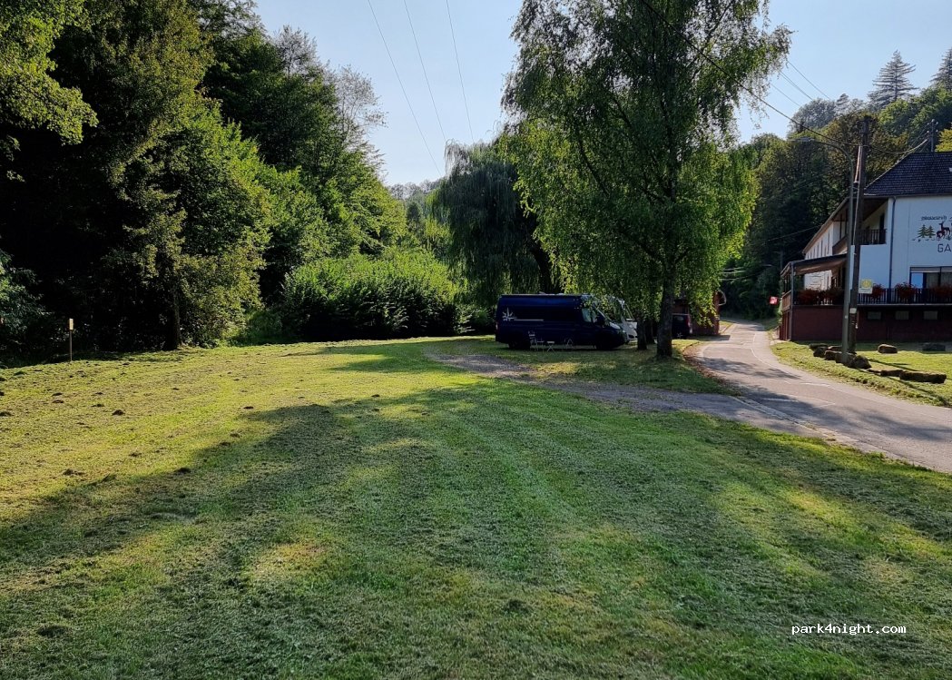Gasthaus-Pension Waldesruhe — foto 5