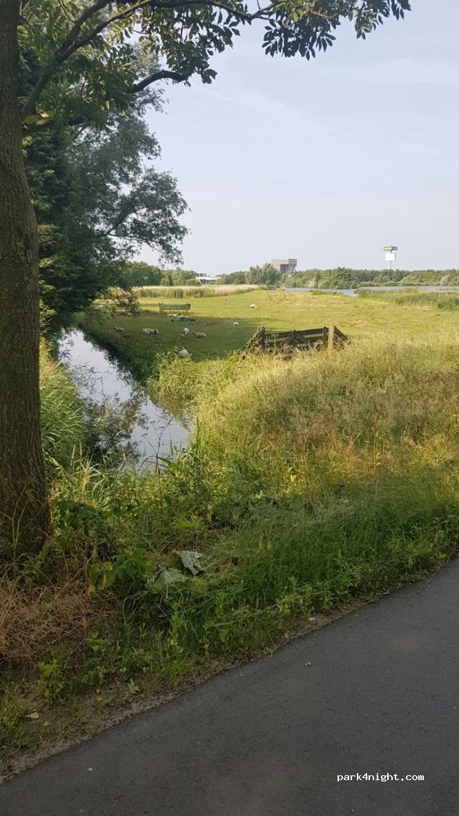 (2031) Haarlem - Zeeltpad — foto 2