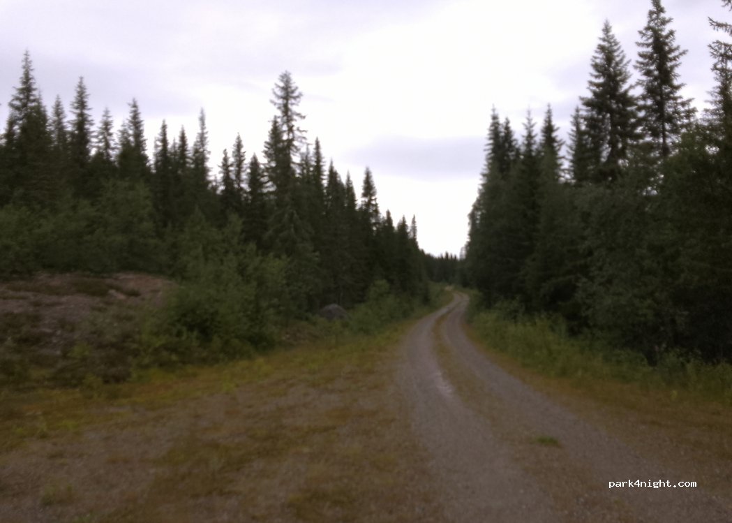 (2420) Tørberget - — foto 2