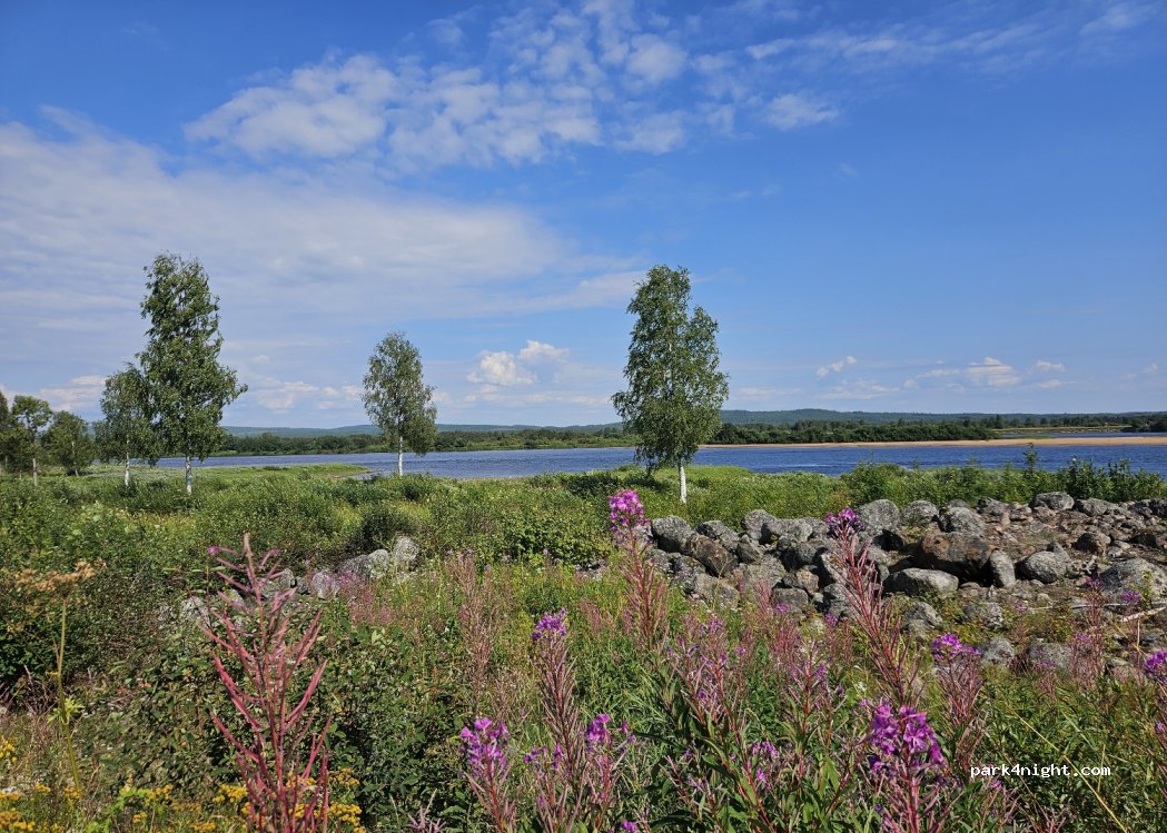 (957 95) Hedenäset - 184 99 — foto 3