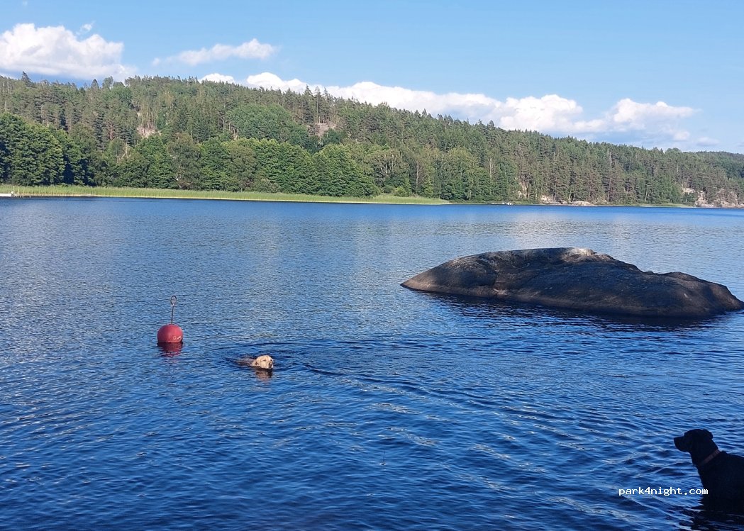 Bullarebygdens Camping — foto 3