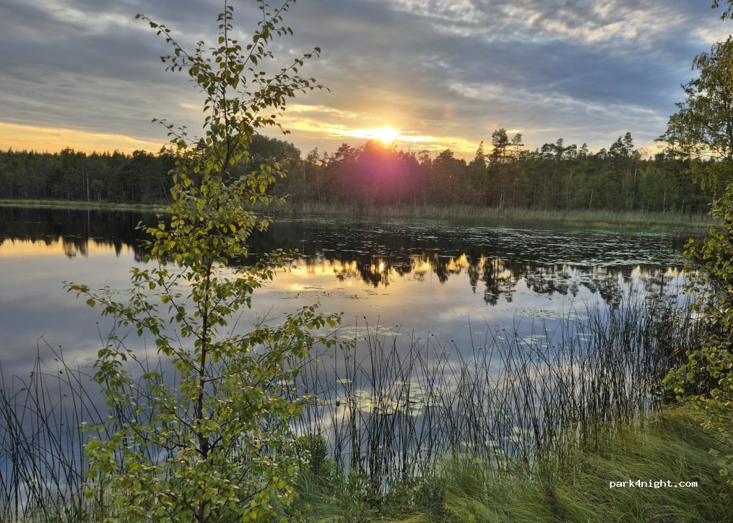(826 75) Sandarne - Unnamed Road — foto 4