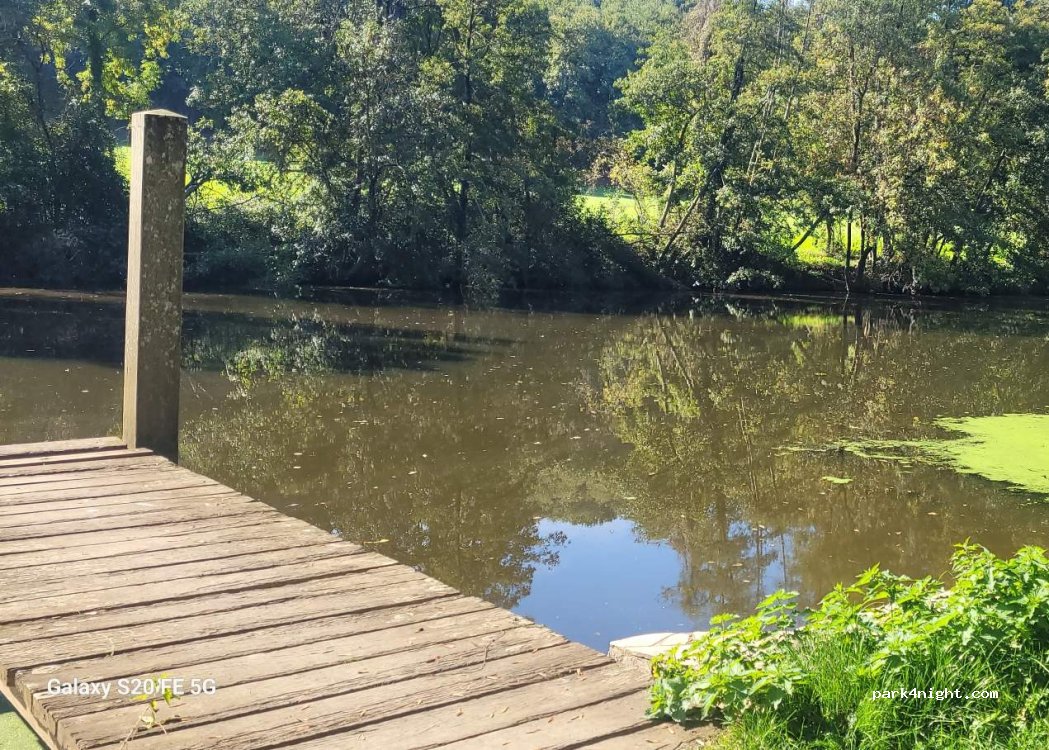 (49500) Segré-en-Anjou Bleu - 19 La Bodardière — foto 5