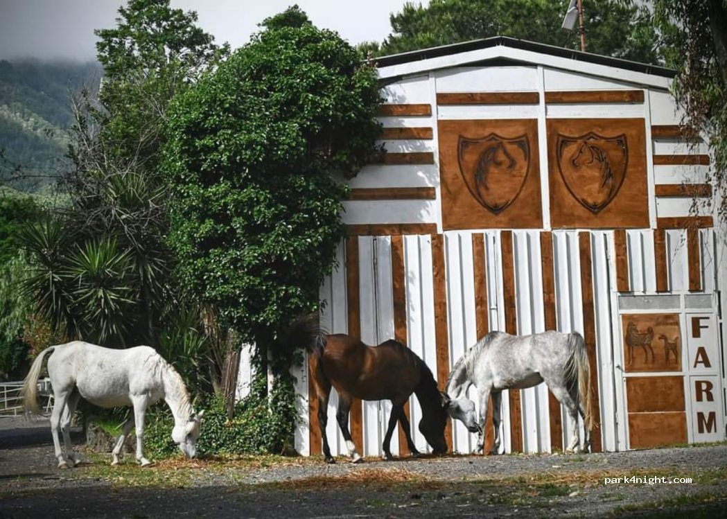 Manzi Hospitality — foto