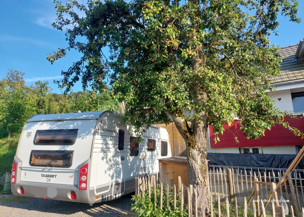 (6234) Kulmerau - — foto 3