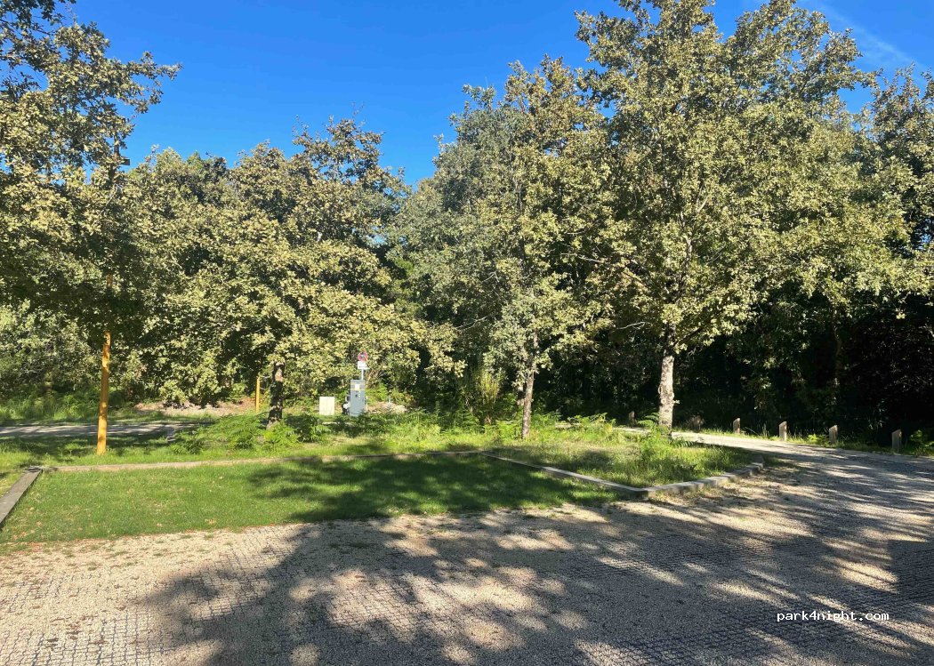 (40160) Parentis-en-Born - 1361 Route du Lac — foto 4