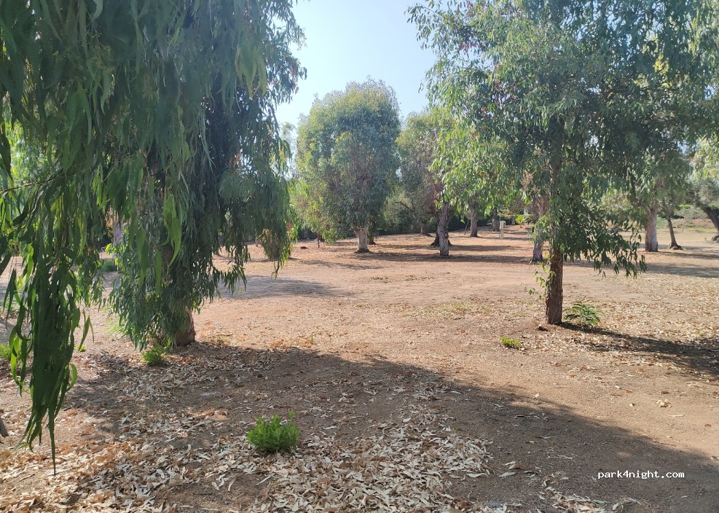 Area Sosta Camper Uliveto — foto 3
