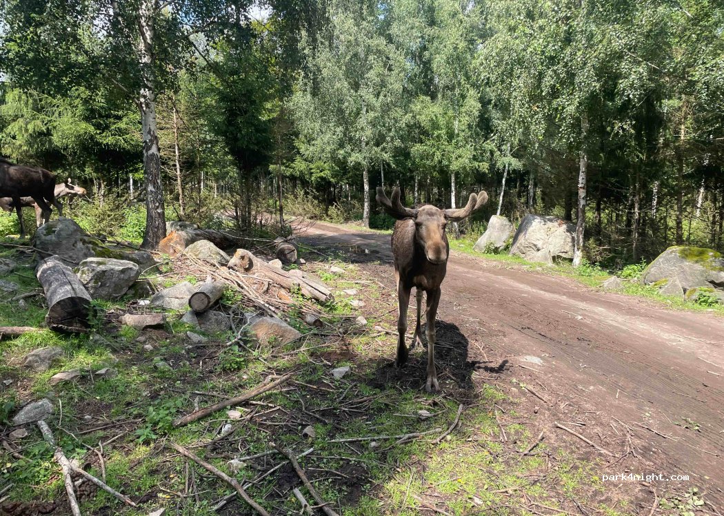 (382 96) Nybro - 314 LÅNGA SLÄT — foto