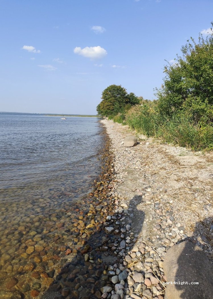 (12-200) Zdory - Unnamed Road — foto 4