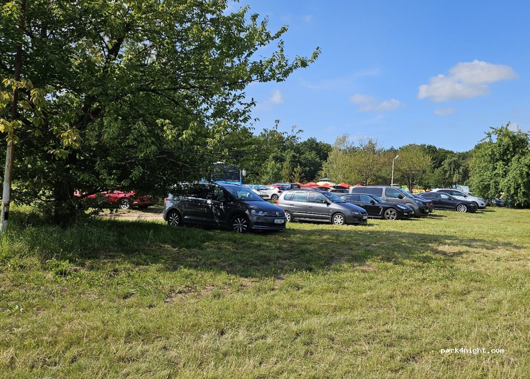(76-200) Gałęzinowo - 17 Parkowa — foto 2