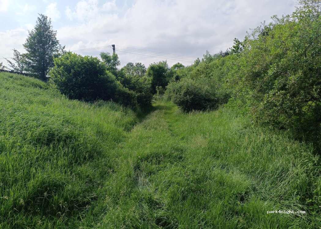(725100) Câmpulung Moldovenesc - 55 Strada Bunești — foto 2