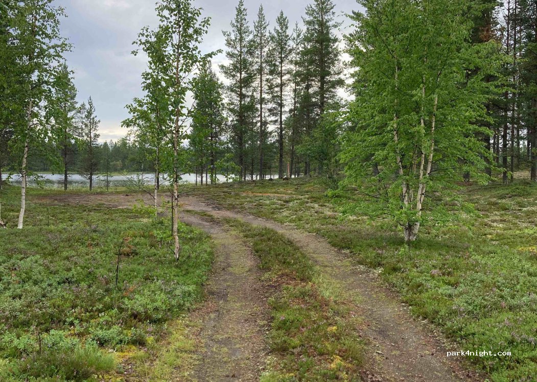 (982 06) Nattavaara - — foto