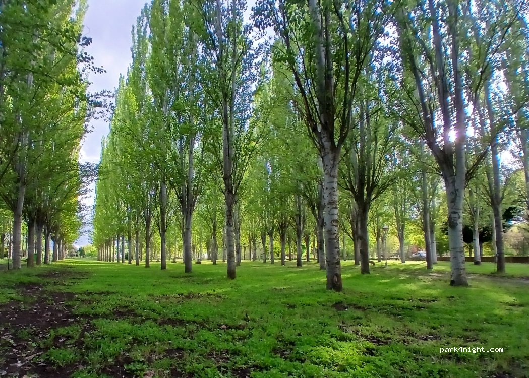 Camping Alba de Tormes — foto