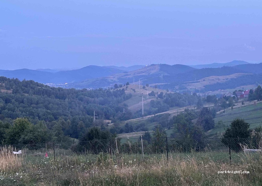 (727356) Pleșa - 35 DJ209L — foto