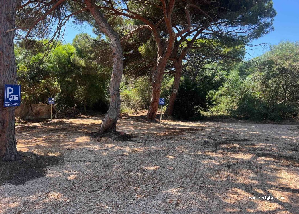 (07041) Alghero - Strada Spiaggia Mugoni — foto