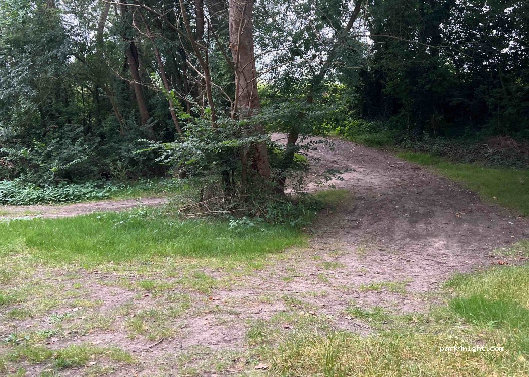 (49320) Blaison-Saint-Sulpice - Unnamed Road — foto