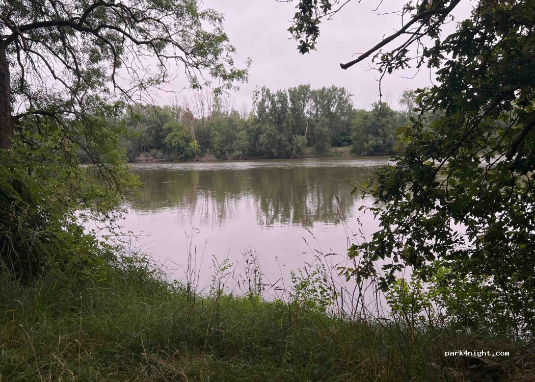 (49320) Blaison-Saint-Sulpice - Unnamed Road — foto 2