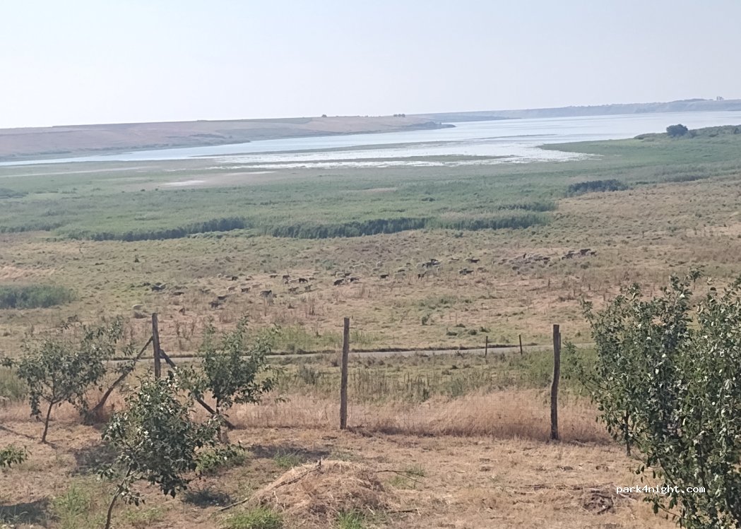 () Tăriceni - Unnamed Road — foto