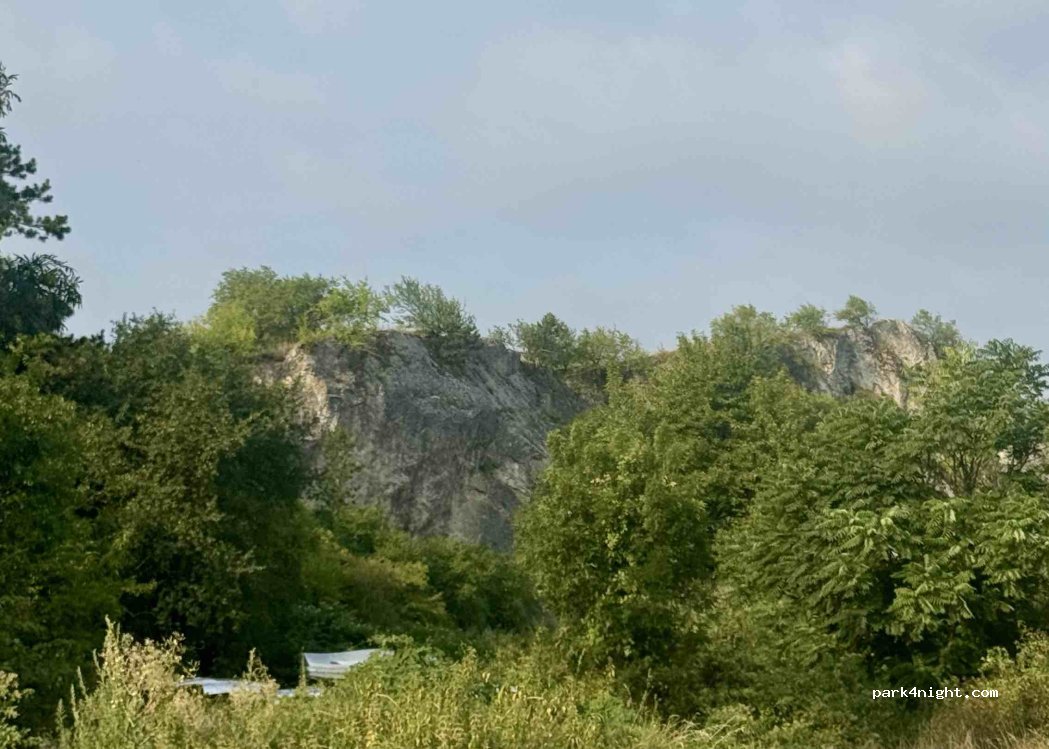 (2162) Falkenstein - — foto 2