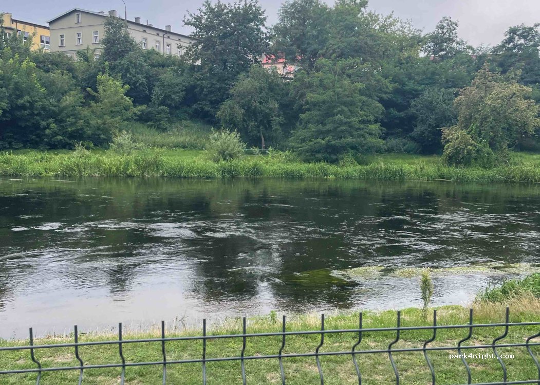 Pole namiotowe - Przystań — foto 4