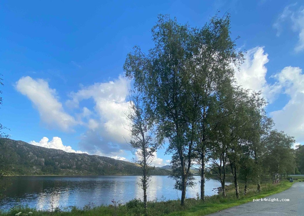 (4334) Gjesdal - 1255 E39 — foto 3