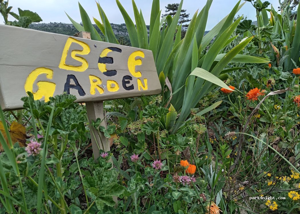 Vela Stina Camping — foto 3