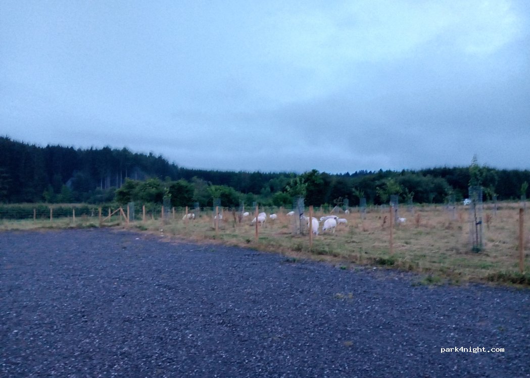 (5555) Bièvre - 49 Rue de Bellefontaine — foto