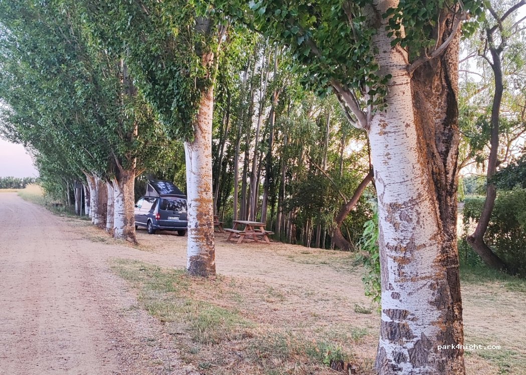 (49159) Villaralbo - Unnamed Road — foto