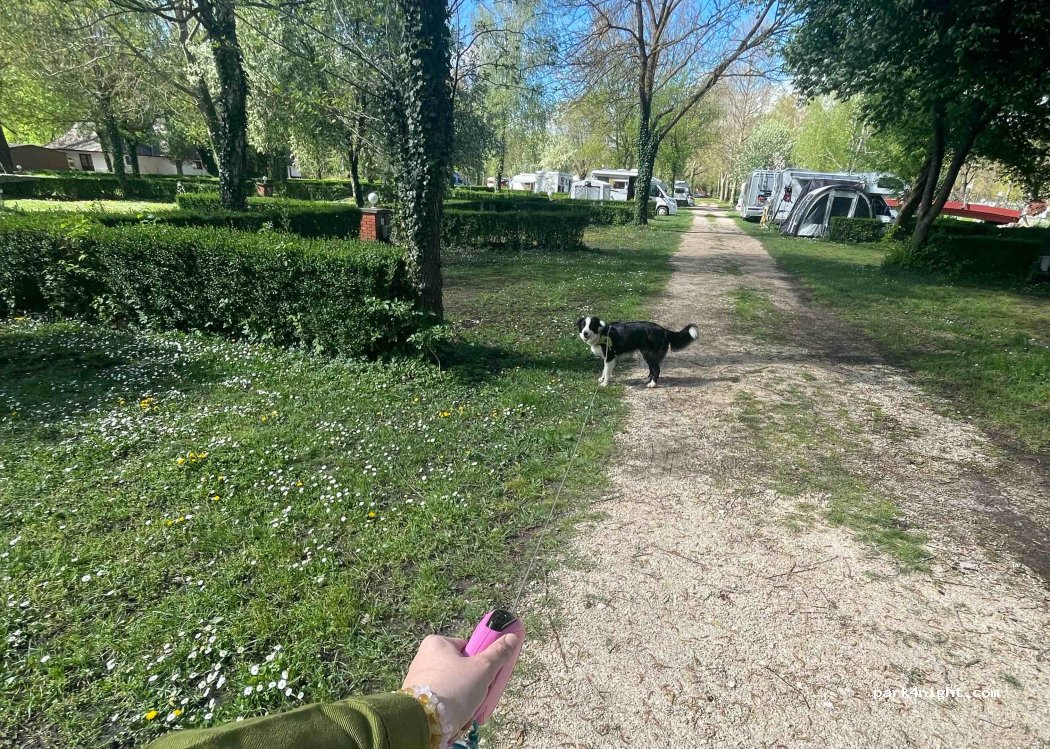 Castrum Camping & Pension Hévíz — foto 4