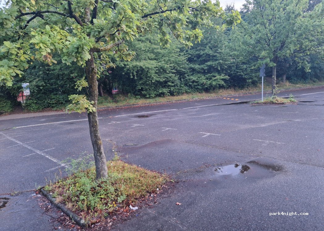 (53229) Bonn - 333 Siegburger Straße — foto