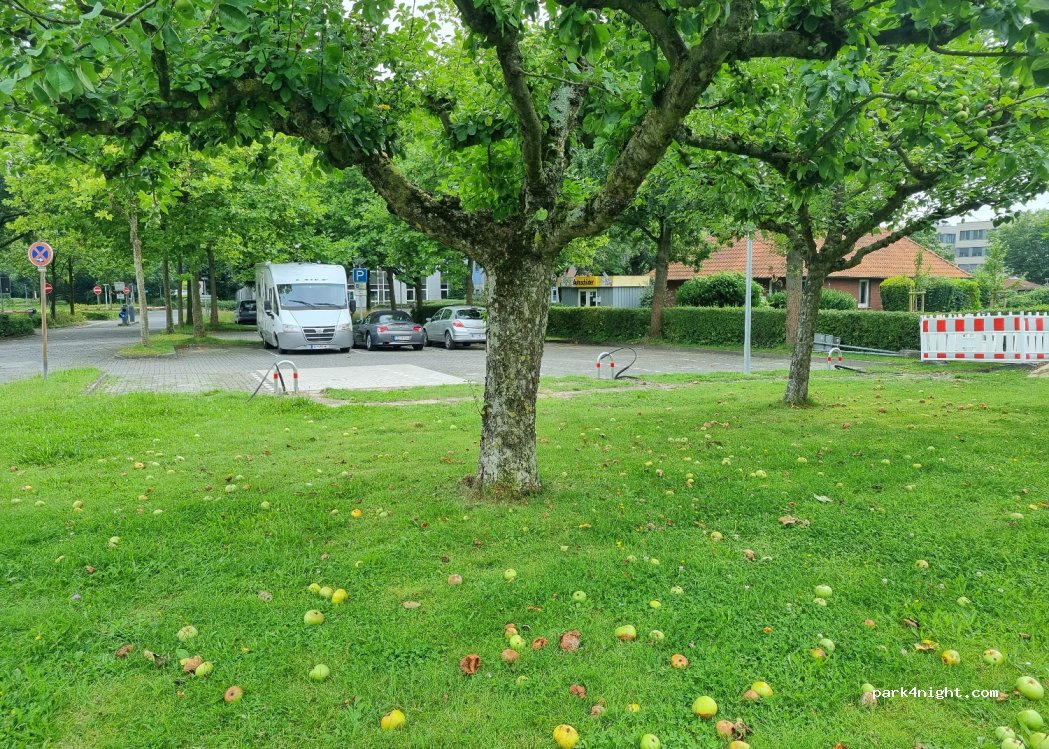 (48565) Steinfurt - 2 Fillerstiege — foto