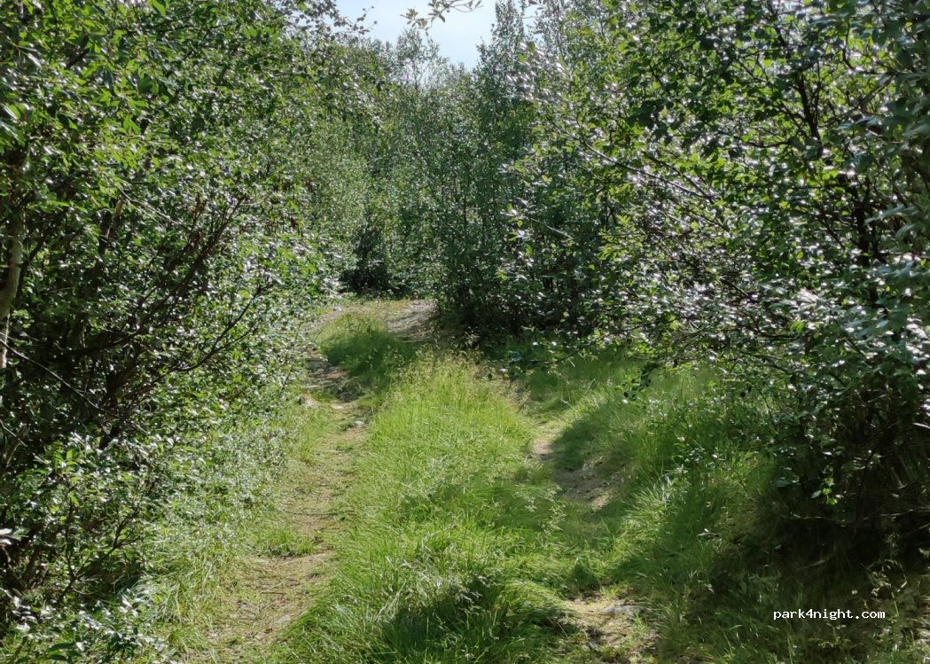 (99990) Nuorgam - 201 Alakönkääntie — foto 2