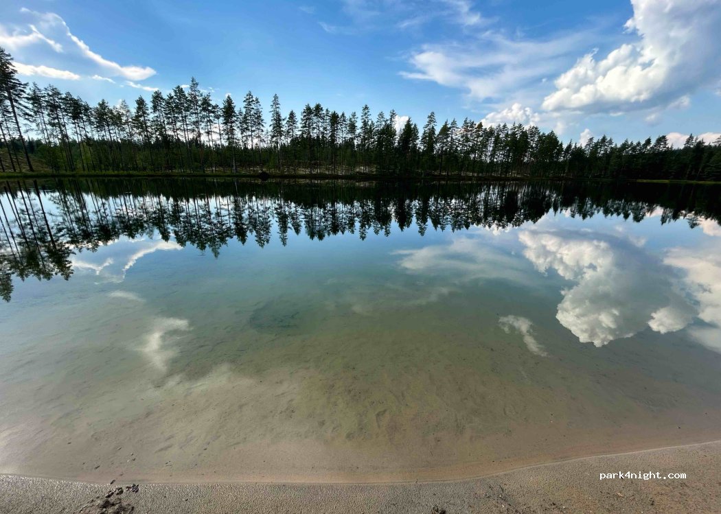 (81650) Palopuro - Unnamed Road — foto