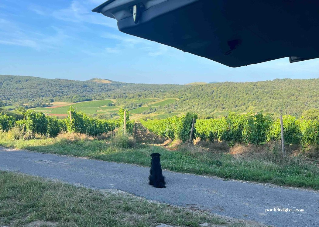 (21340) La Rochepot - — foto 2
