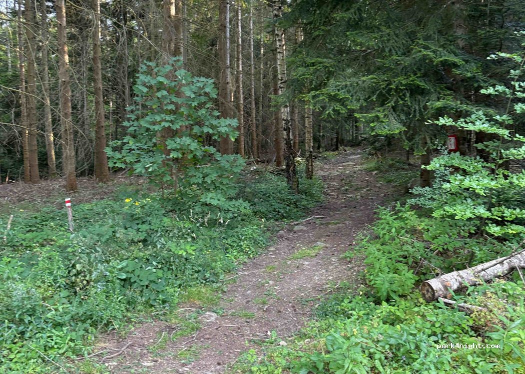 (43200) Saint-Julien-du-Pinet - Unnamed Road — foto
