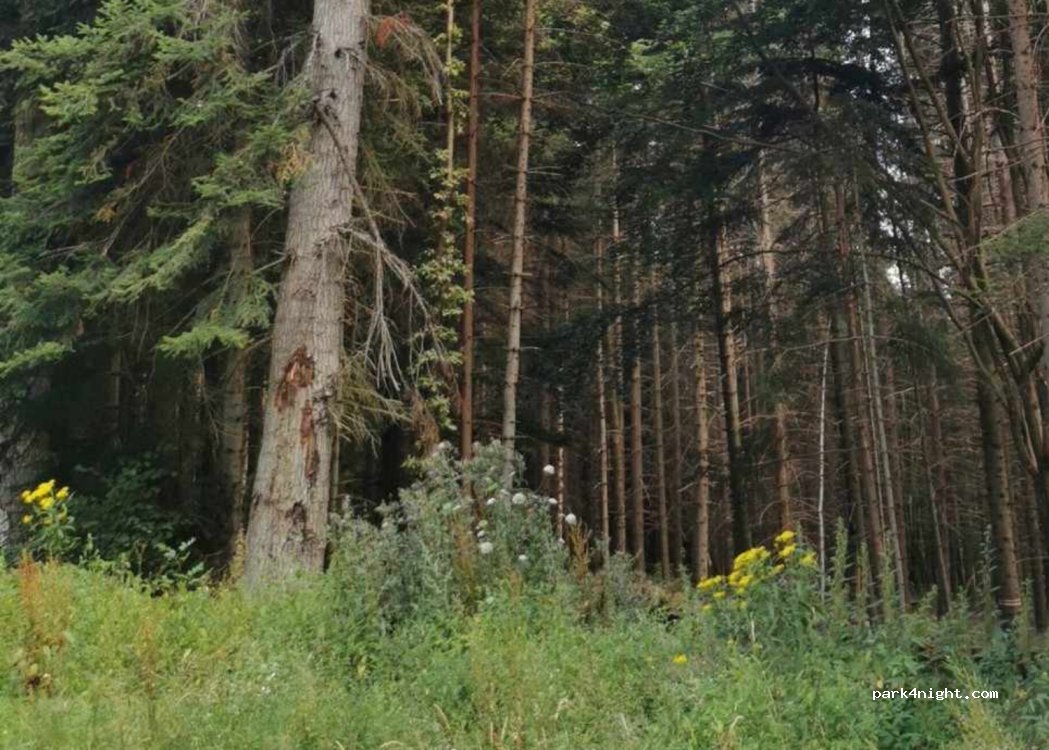 (43200) Saint-Julien-du-Pinet - Unnamed Road — foto 4