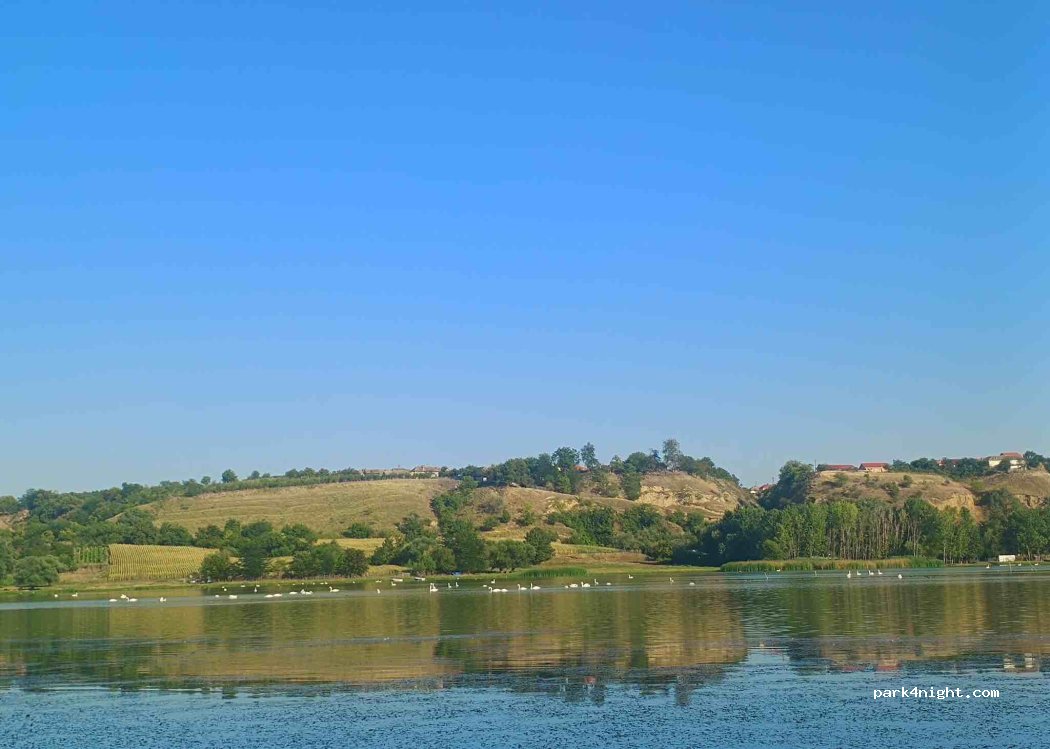 (200609) Maglavit - — foto