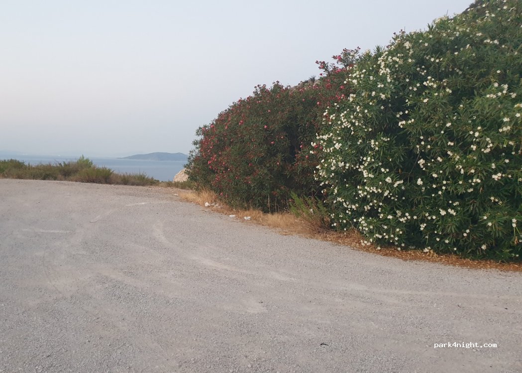 (210 59) Epidavros - Epar.Od. Paleas Epidavrou - Methanon — foto 2