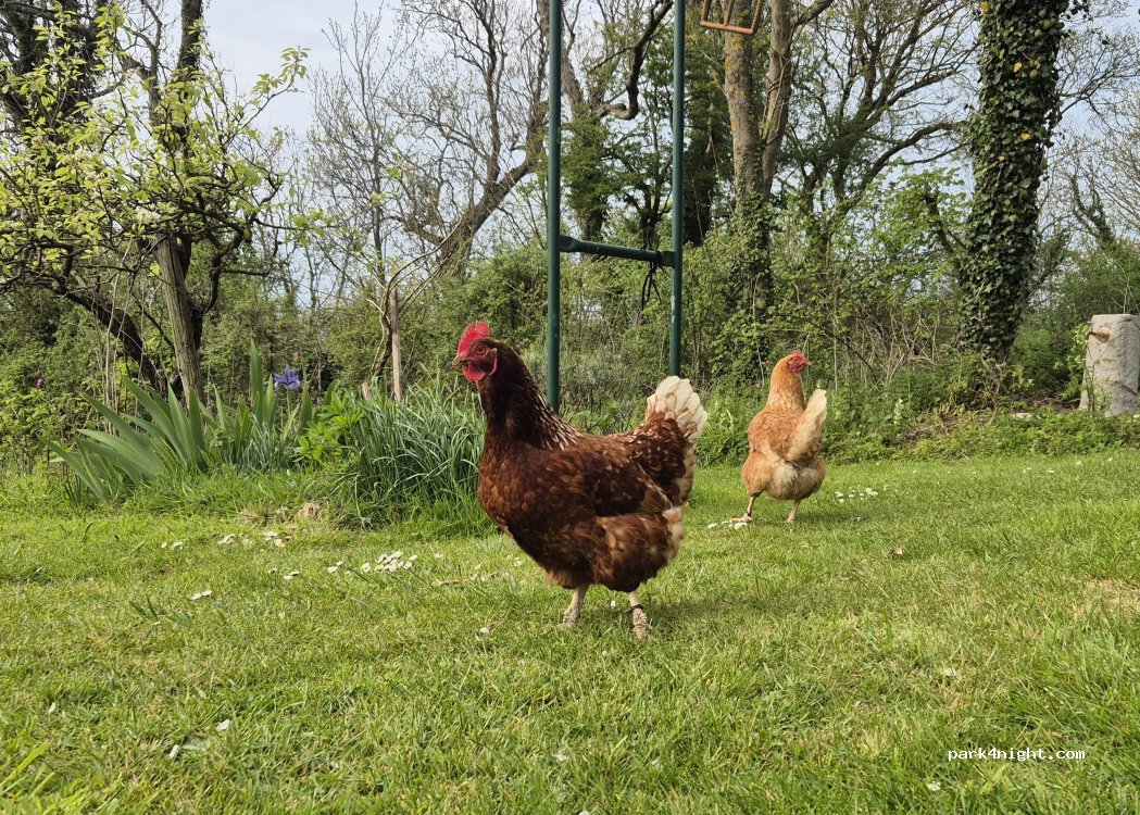 (62250) Leubringhen - 2 La Baronnerie — foto 2