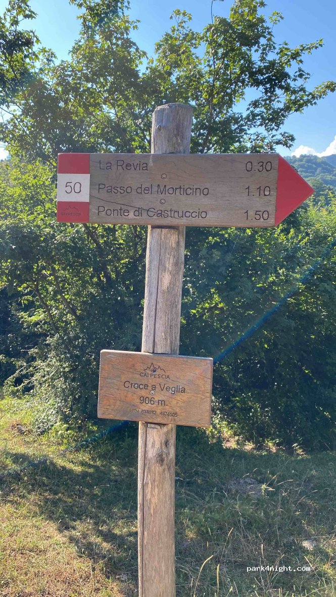(51017) Pescia - — foto